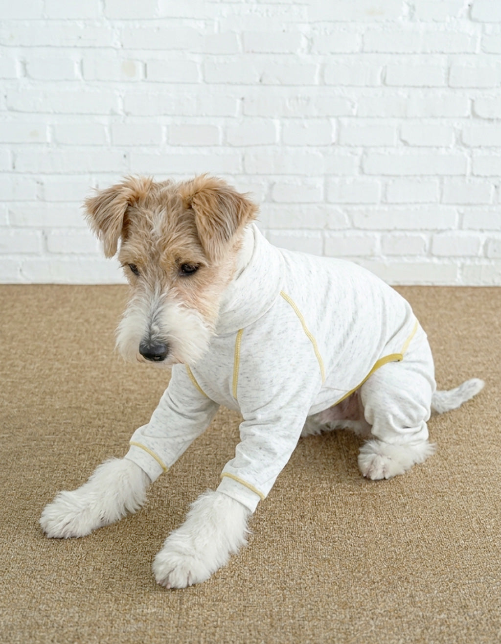 CHISUPET LinenAir Sensitive Skin Protective Dog Shirt for Cairn Terriers, made with 25% linen and 75% polyester, featuring flexible stretch fabric and a comfortable, close-fitting design.