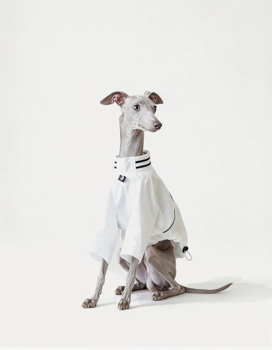 Dog wearing CHISUPET Retro dog jersey with ultra-breathable 8000g/m² fabric. Quick-dry, UV-resistant and lightweight design.