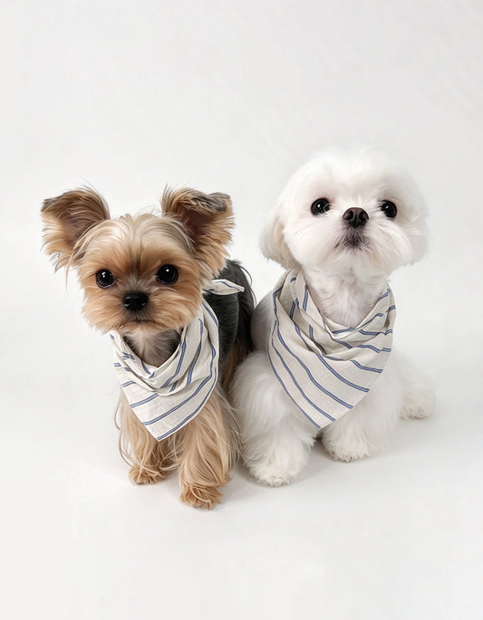 Dress your small dog in CHISUPET PuffKnot Bandana. Made of 100% shirt-grade cotton with a trachea-friendly tie-knot design ideal for Maltese, Yorkies & Yorkies.