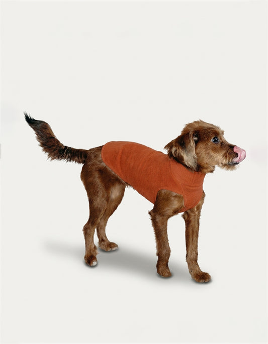 The CHISU Anti-Static Stretch Dog Belly Vest is a versatile base layer designed for dogs sensitive to temperature shifts, offering a balanced combination of breathable warmth and unrestricted movement.