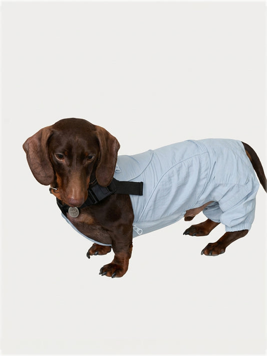 Lightweight dog overalls made from water-resistant nylon with sun protection, magnetic closures, side zippers, and a stylish oversized fit.