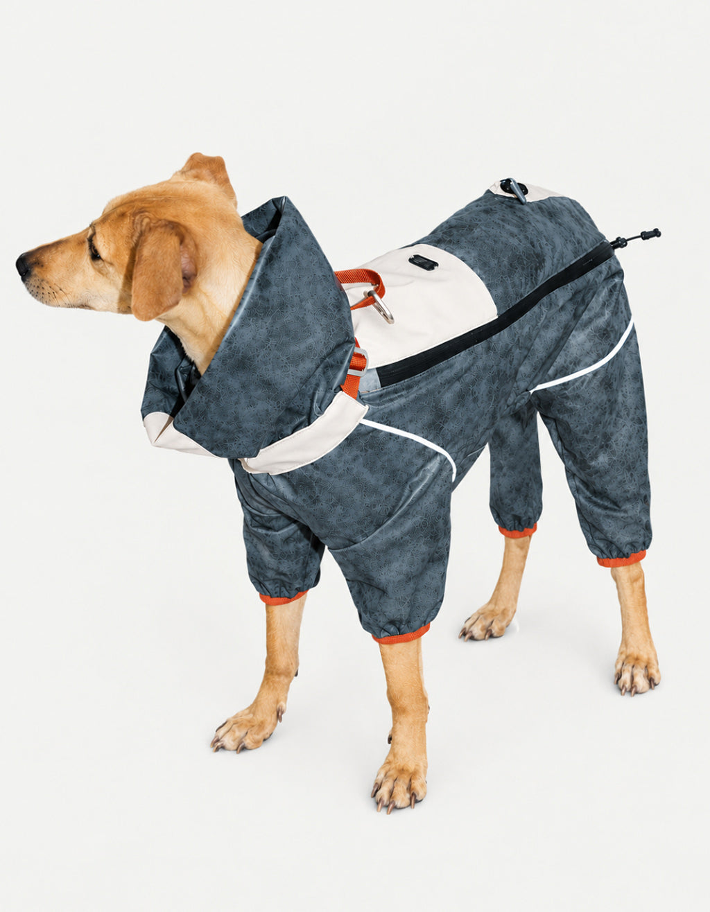 Built for changing weather, muddy trails, and everyday outdoor adventures, the CHISU TrailShield Dog Rain Shell provides reliable protection without compromising comfort or mobility.