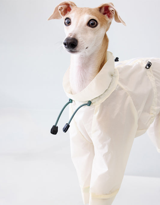 Dog wearing CHISU AeroShield ultra-light waterproof rain shell in white for clean and modern outdoor protection