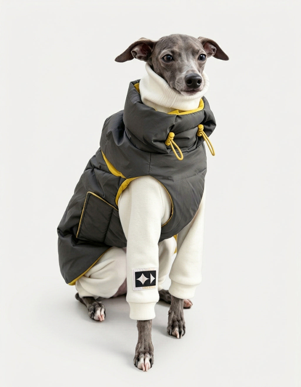 The CHISUPET CloudDown™ 95 White Duck Down Vest delivers exceptional warmth without restricting weight. Combining a rugged 100% Nylon 66 performance shell with high-loft 95% white duck down insulation, it traps core warmth while allowing full freedom of movement for trail exploring, winter travel, and everyday neighborhood strolls.