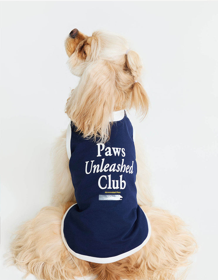Group of dogs wearing CHISU CoolBreeze cooling vests highlighting soft breathable fabric and everyday summer wearability.