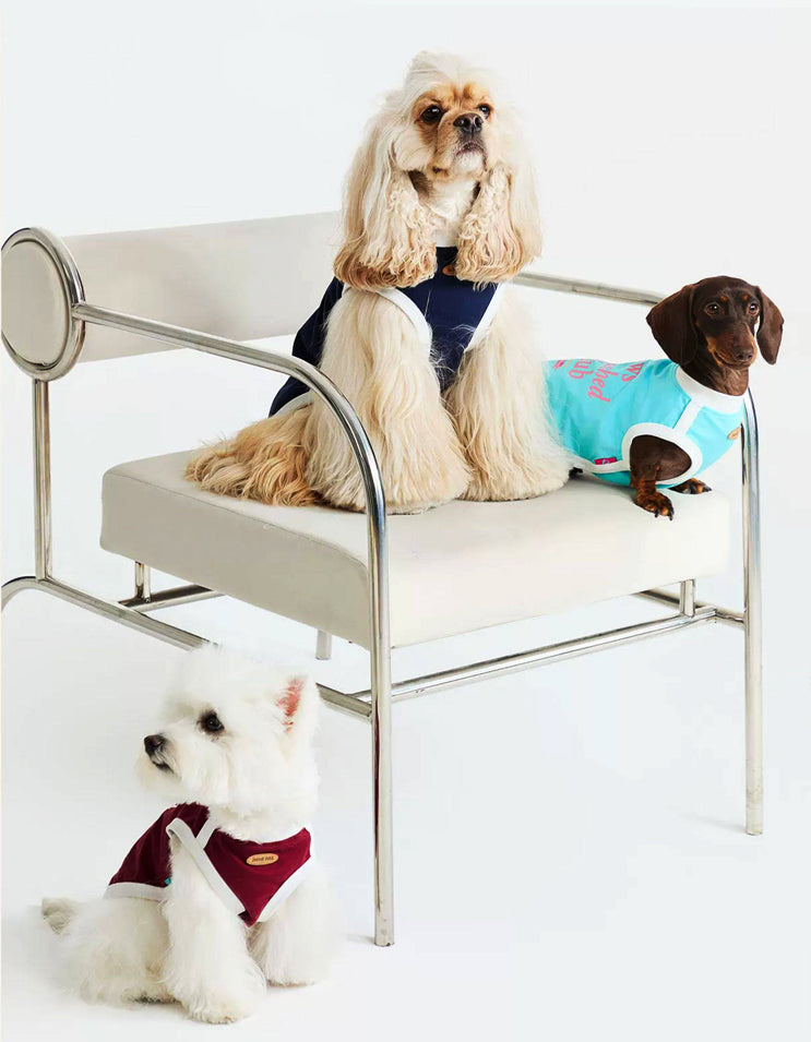 Dogs wearing CHISU CoolBreeze cooling vests in navy, burgundy, cream yellow, and lake blue showcasing breathable summer pet apparel.
