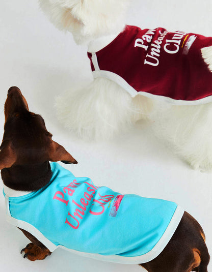 Dog wearing CHISU CoolBreeze cooling vest in lake blue with soft breathable fabric for summer comfort.