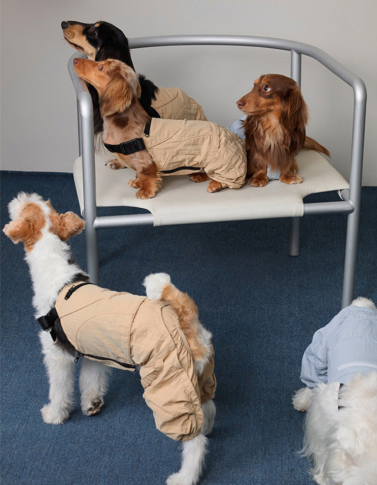Dog wearing lightweight outdoor coveralls for hiking, walking, and daily adventures.