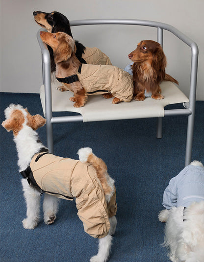 Dog wearing lightweight outdoor coveralls for hiking, walking, and daily adventures.