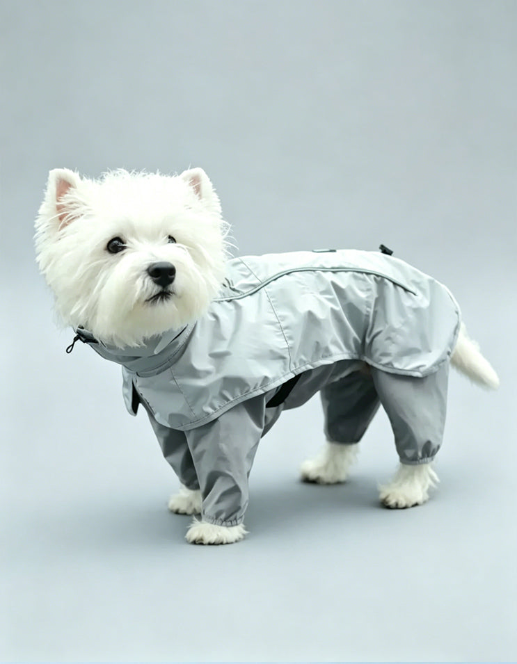 Dog wearing the CHISUPET TerraCape gray dog poncho jacket with lightweight water-resistant outdoor protection
