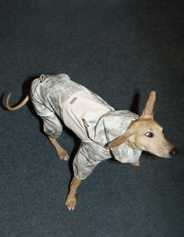 Dog wearing the CHISU TrailShield waterproof rain shell in Frosted Khaki with full-body protection for outdoor adventures.