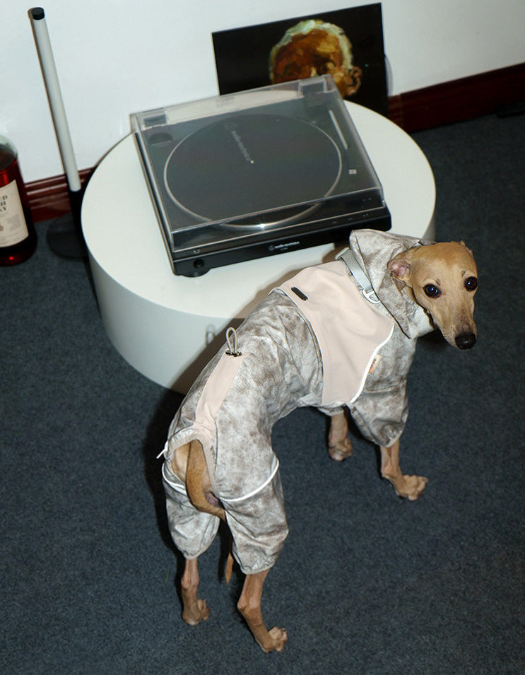 Close-up of the waterproof fabric and construction details on the CHISU TrailShield dog rain shell.