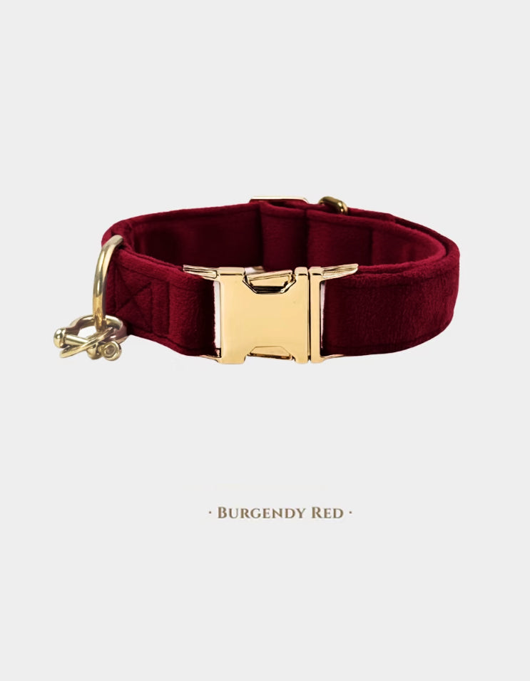 A burgundy CHISU VelvetWalk velvet dog collar featuring rich velvet texture and elegant brass fittings for a refined style.