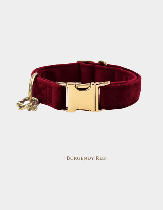 A burgundy CHISU VelvetWalk velvet dog collar featuring rich velvet texture and elegant brass fittings for a refined style.