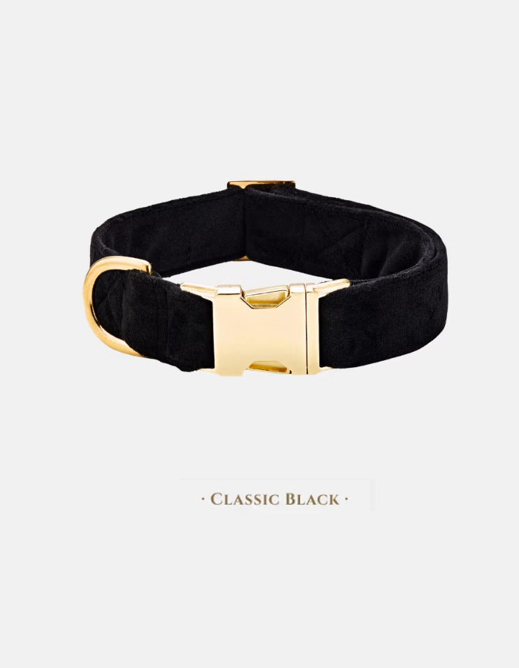 A classic black CHISU VelvetWalk velvet dog collar designed with soft velvet material and strong brass hardware for daily wear.