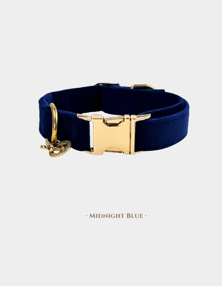 A midnight blue CHISU VelvetWalk velvet dog collar with premium velvet finish and durable brass buckle details.