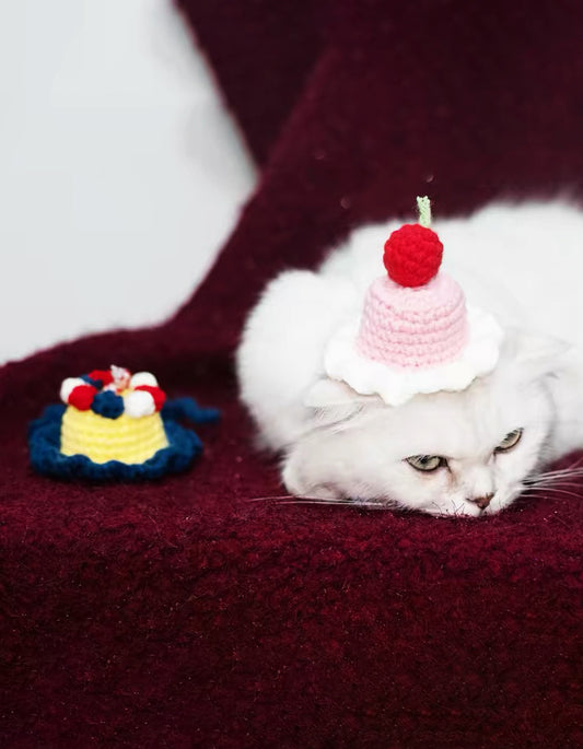 small cat wearing hand-knitted birthday cake hat celebrating pet birthday with cute party look