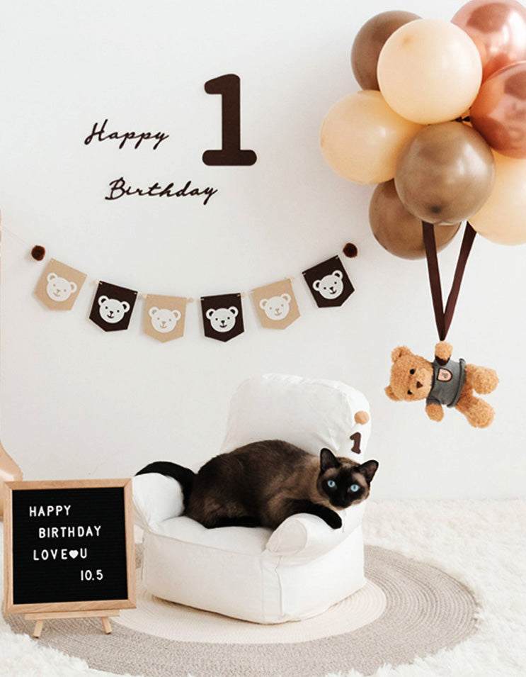 close-up of cat wearing felt birthday hat and decorative collar with soft handmade texture