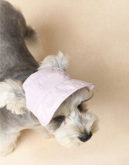 Schnauzer wearing lightweight dog sun hat with curved brim and adjustable strap for outdoor protection