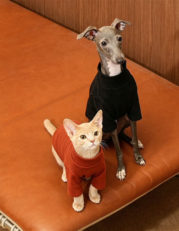 Orange cat and Italian Greyhound wearing the CHISU CloudSoft antibacterial turtleneck base layer indoors.