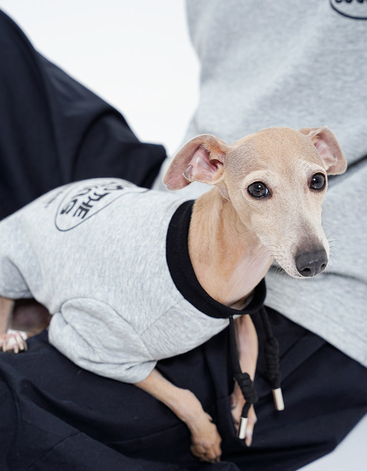 Dog wearing the CHISUPET Dad & Me cotton pet shirt with a soft breathable cotton blend fabric