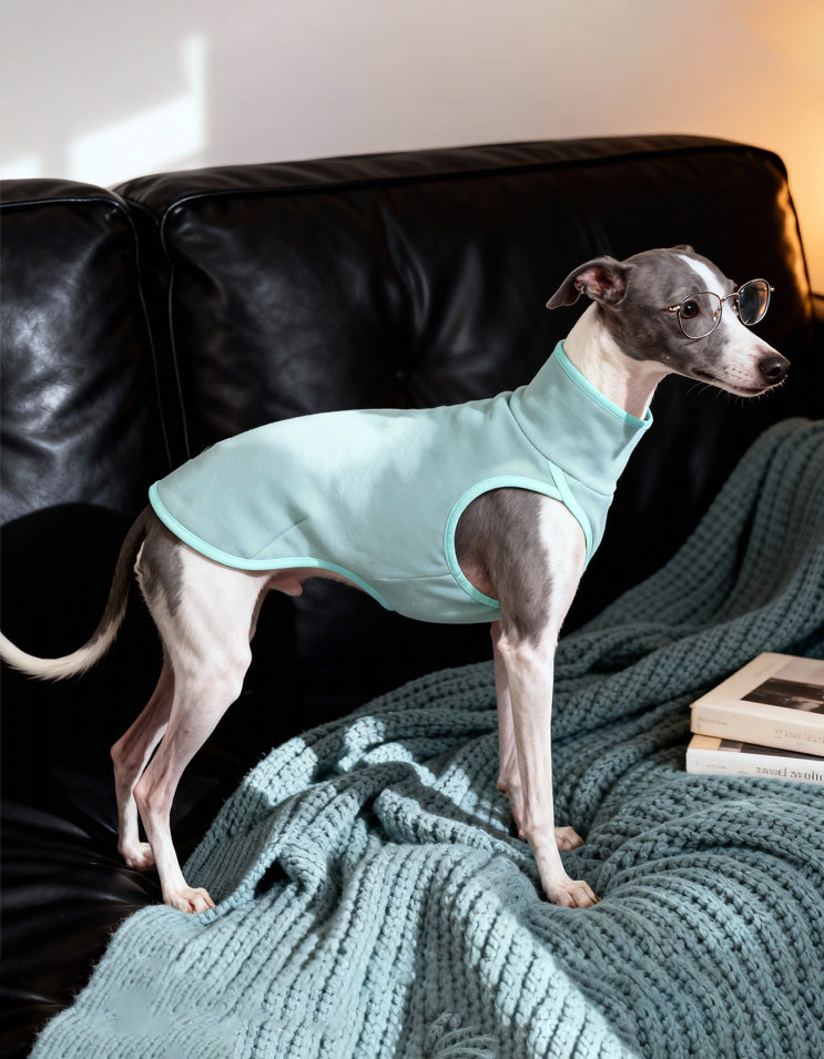 A cozy small dog wearing CHISU SilkCash turtleneck vest designed for cold weather insulation.