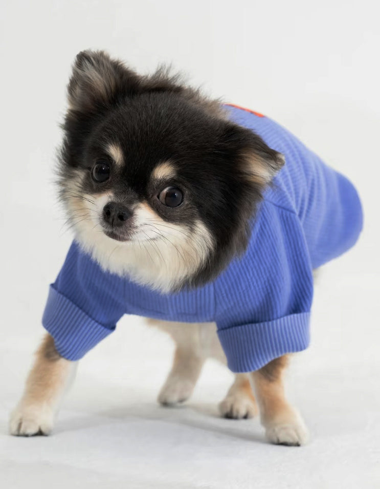 Soft cotton customizable dog t-shirt with relaxed fit for small dogs indoor wear