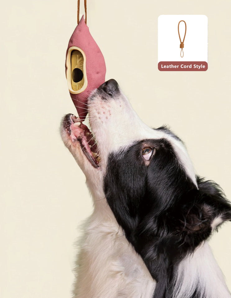 The CHISU SweetSpud dog waste bag holder hanging from a leash while a dog explores outdoors.