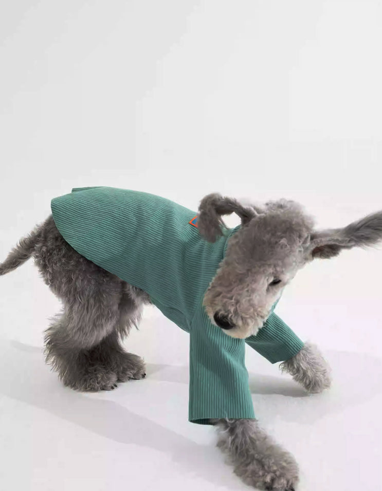 Customizable cuttable pet t-shirt allowing DIY styling and creative outfit for dogs
