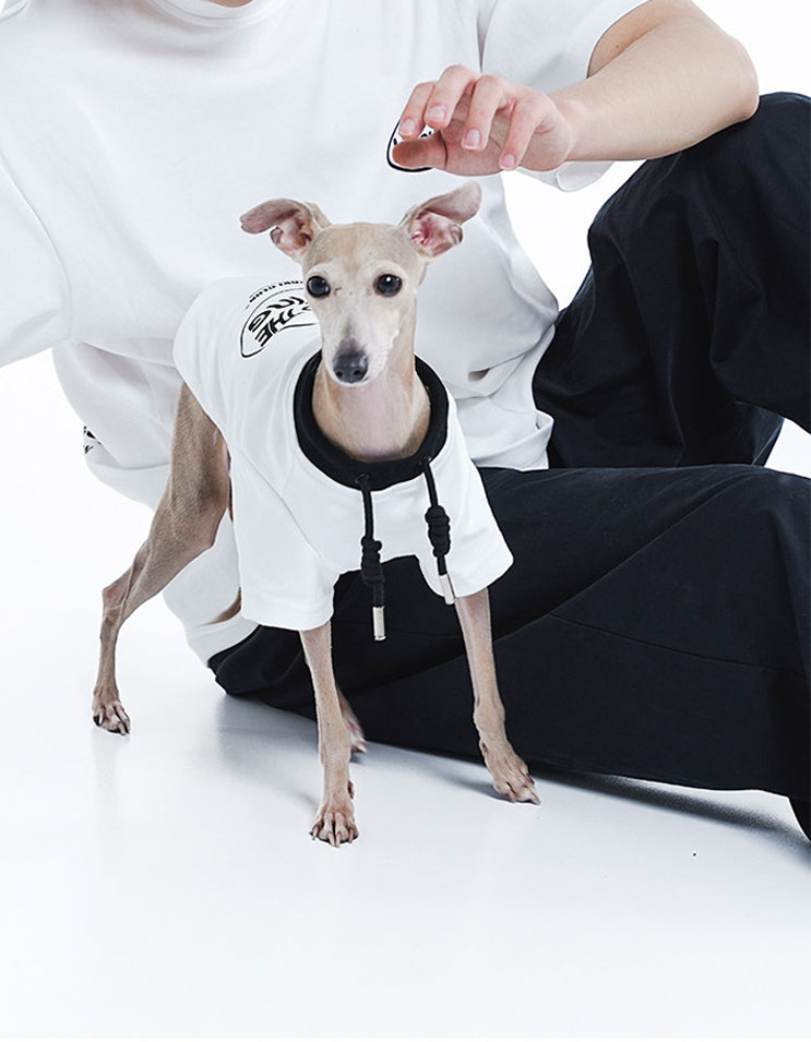 Dog and owner wearing the CHISUPET Dad & Me Cotton Set matching cotton T-shirts during an outdoor walk
