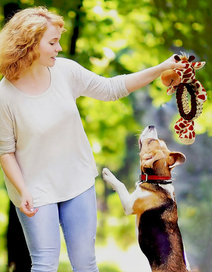 Dog enjoying interactive tug-of-war with durable rope chew toy