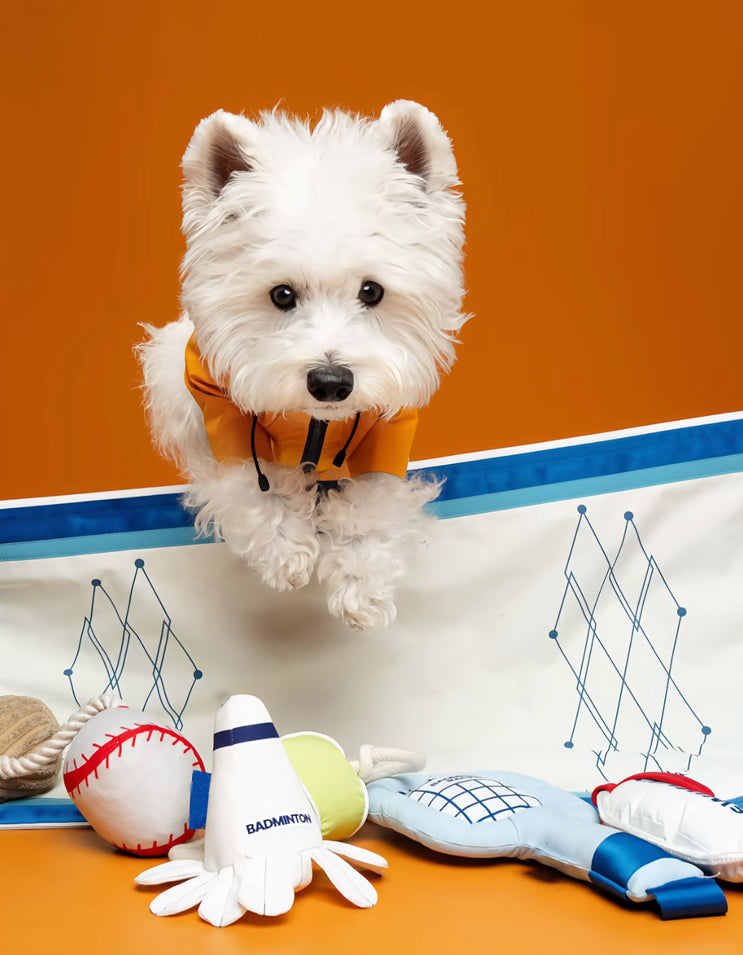 Dog interacting with sport-themed snuffle toy while searching for hidden treats