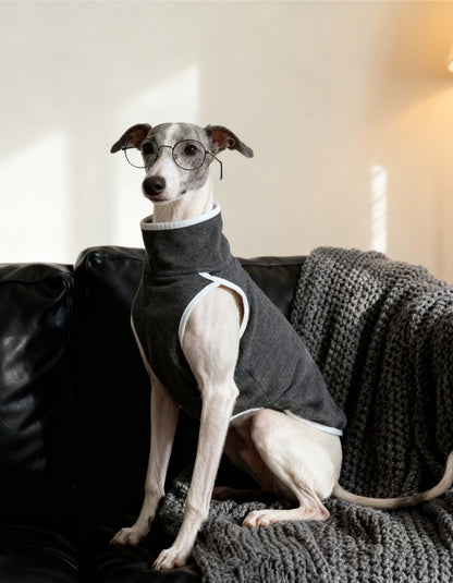 A dog walking outdoors wearing CHISU SilkCash vest designed for warmth and mobility.
