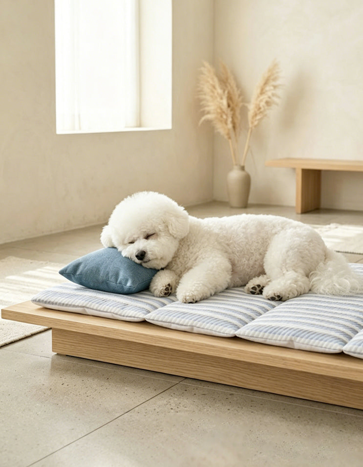 Dog stretching and resting on a CHISUPET cooling mat designed for summer heat relief