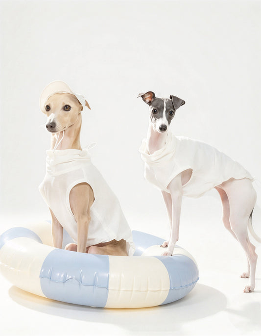 Close-up of zipper design on dog cooling vest for easy wearing and removal