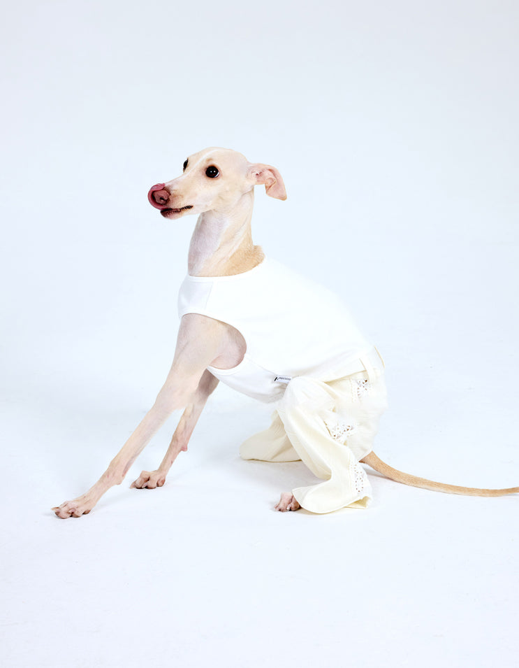 Close-up of dog lace romper showing hollow lace texture and refined tailoring details
