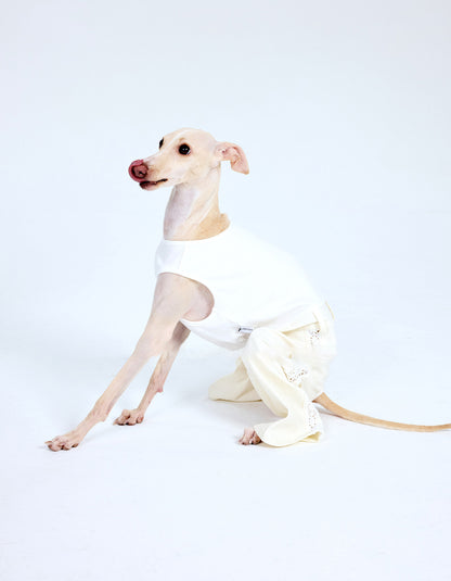 Close-up of dog lace romper showing hollow lace texture and refined tailoring details