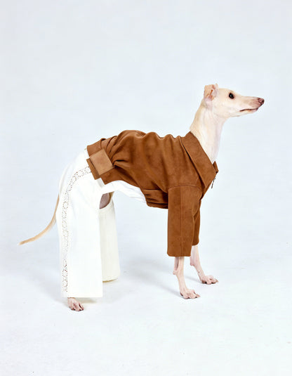 Small dog wearing white lace romper during outdoor walk in stylish summer outfit