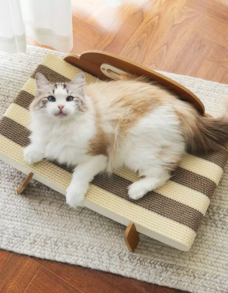 Cat stretching comfortably on the gently curved CHISUPET cat scratcher bed designed for natural body support