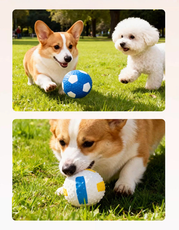 dog running and chasing rubber football toy, durable dog fetch ball
