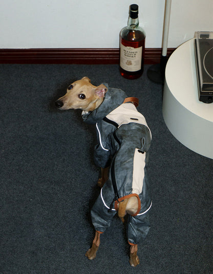 Active dog moving comfortably in the CHISU TrailShield waterproof rain shell with unrestricted mobility.