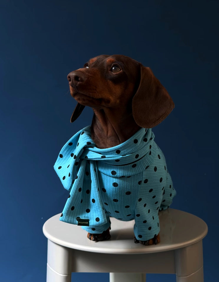 Dachshund wearing a cute French polka dot four-legged dog outfit, soft fabric for small dogs