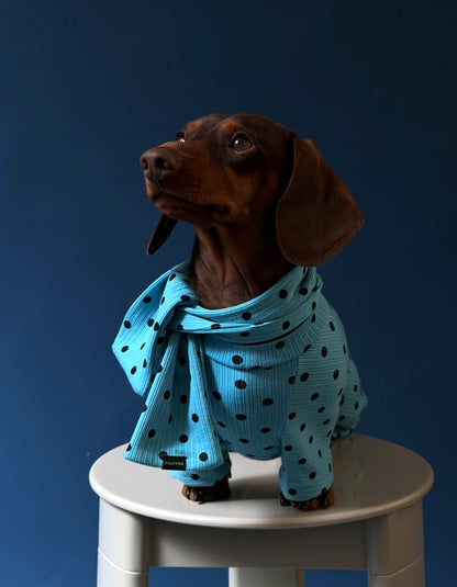 Dachshund wearing a cute French polka dot four-legged dog outfit, soft fabric for small dogs