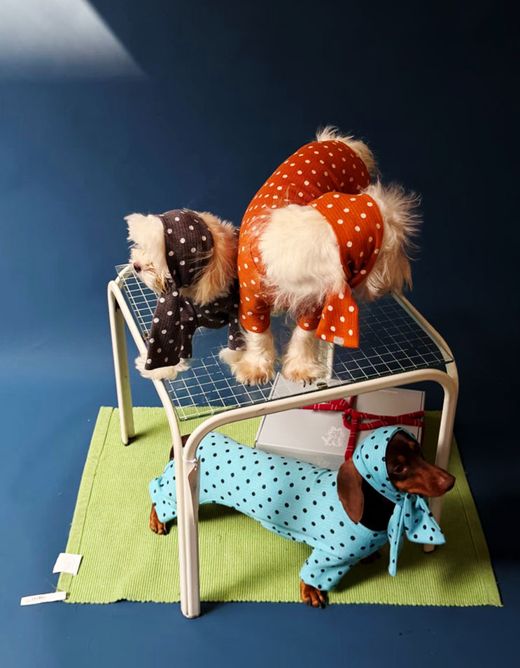 Close-up of a Maltese in a French polka dot four-legged dog romper, showing fabric pattern and stitching