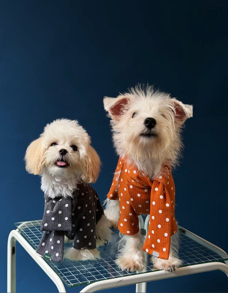 Maltese wearing a French polka dot four-legged dog romper, cozy and stylish for small dogs