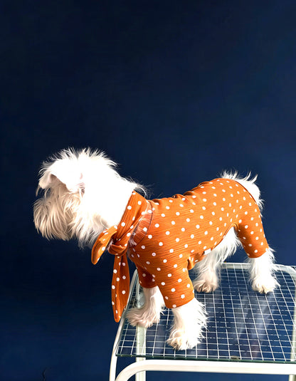 Side view of a West Highland Terrier wearing a French polka dot dog romper, highlighting comfort and fit