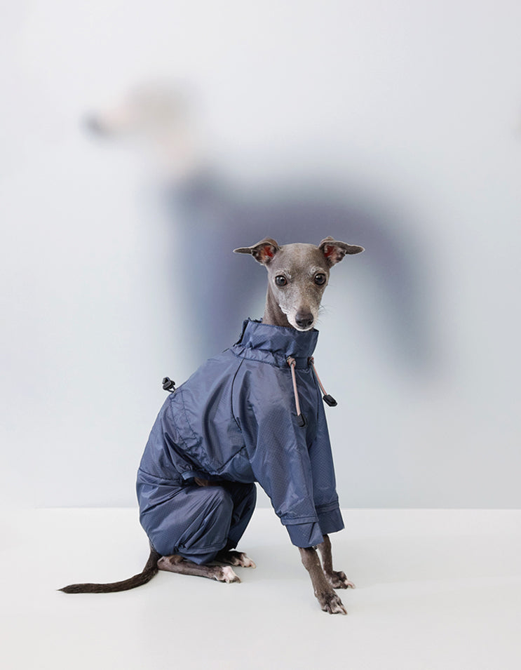 Side view of dog wearing CHISU AeroShield blue rain shell with four-leg coverage and ultra-light design.