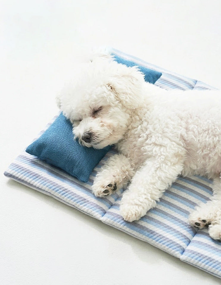 Golden dog resting on a breathable summer cooling pet sleeping pad in a calm indoor environment