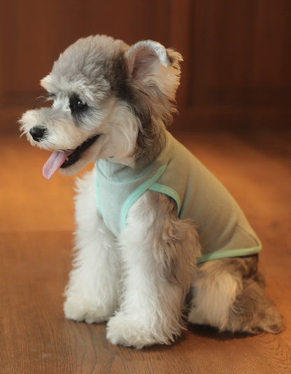 A small dog wearing a green CHISU SilkCash vest, suitable for autumn and winter daily wear.