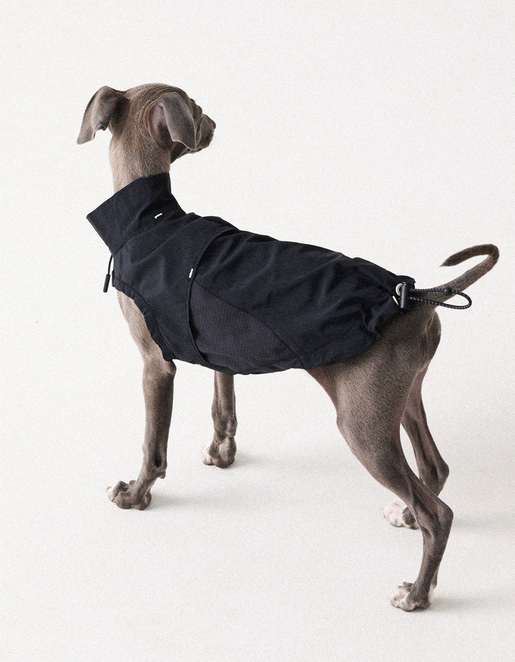 Dog wearing half-zip lightweight vest designed for easy putting on and removal